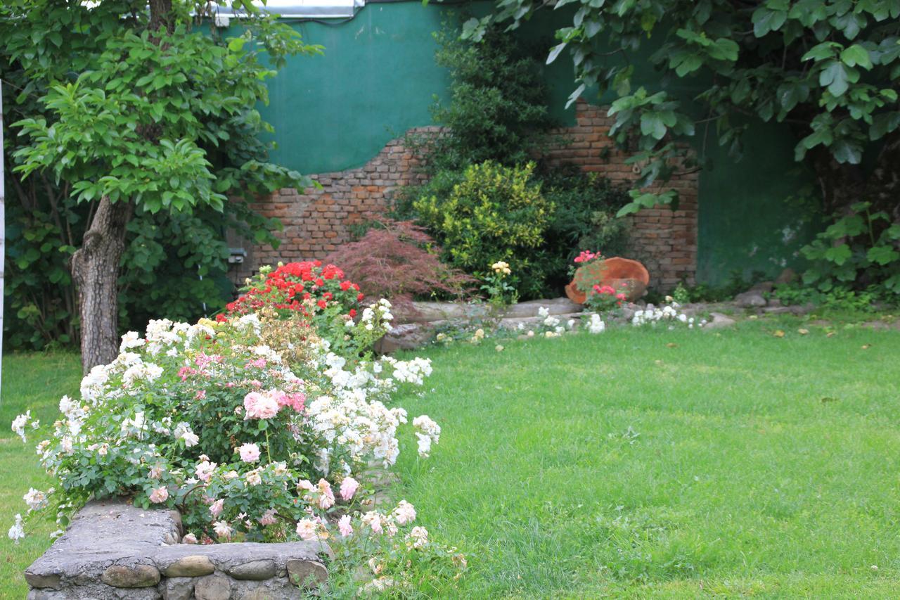 Villa Kursa Signagi Exterior foto